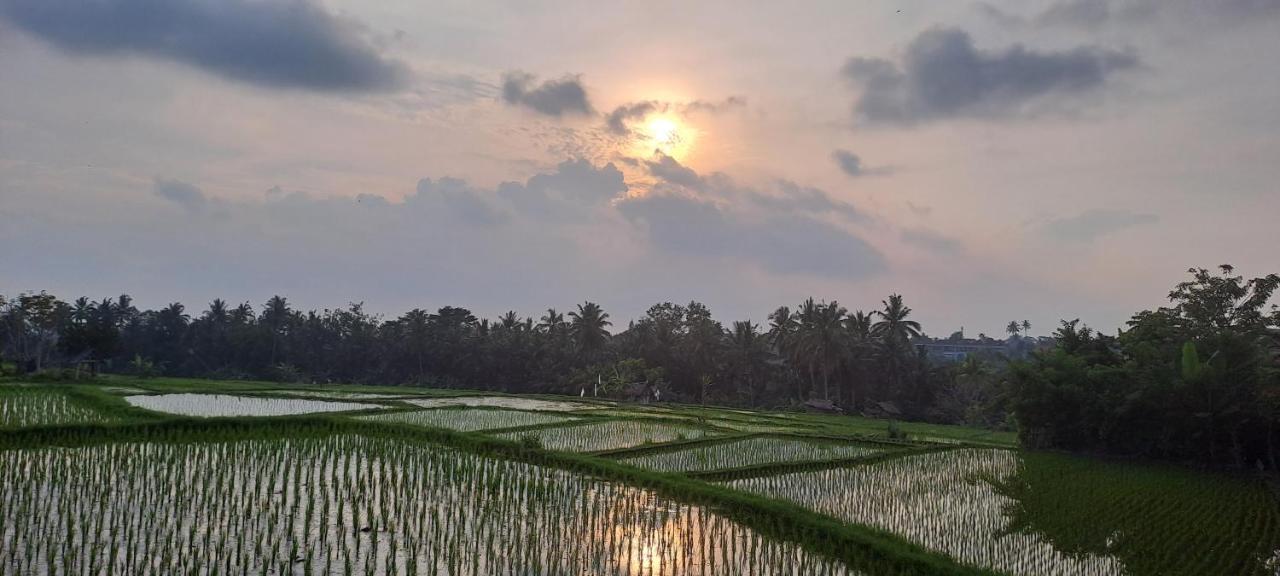 Galang Hari Villa Ubud Eksteriør billede