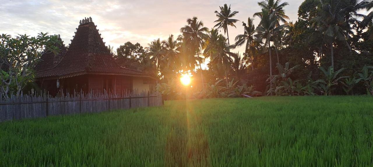 Galang Hari Villa Ubud Eksteriør billede