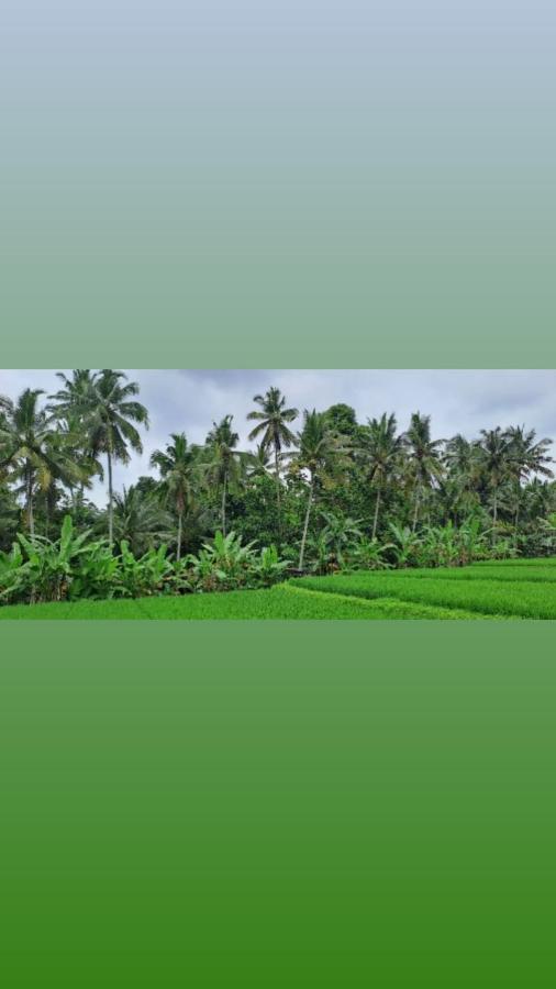 Galang Hari Villa Ubud Eksteriør billede