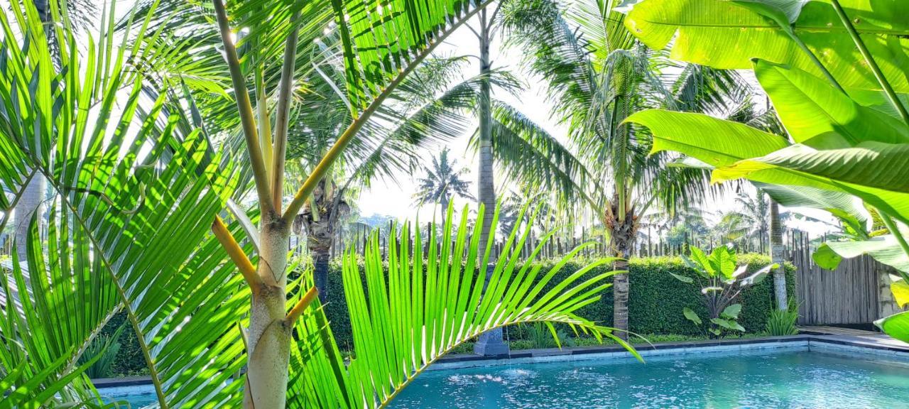 Galang Hari Villa Ubud Eksteriør billede