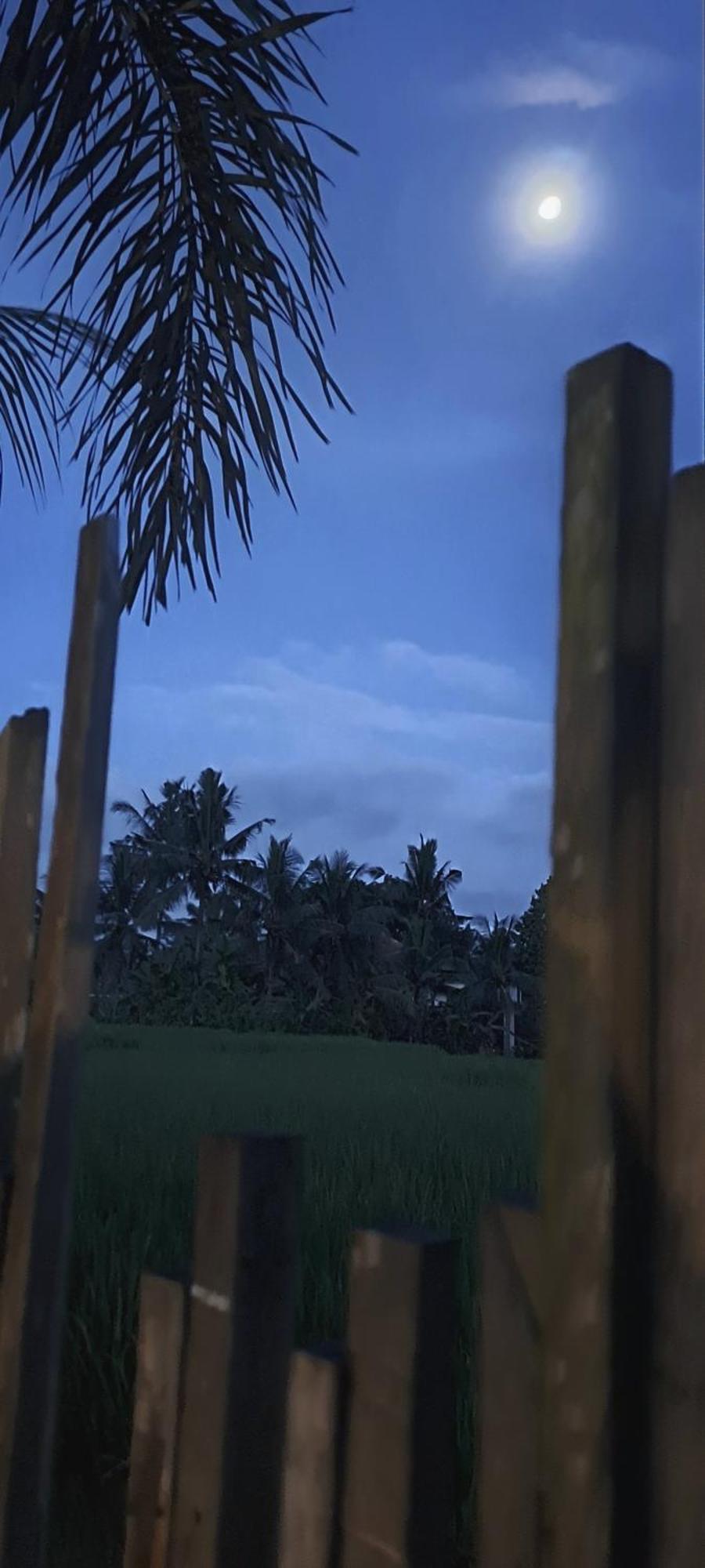 Galang Hari Villa Ubud Eksteriør billede
