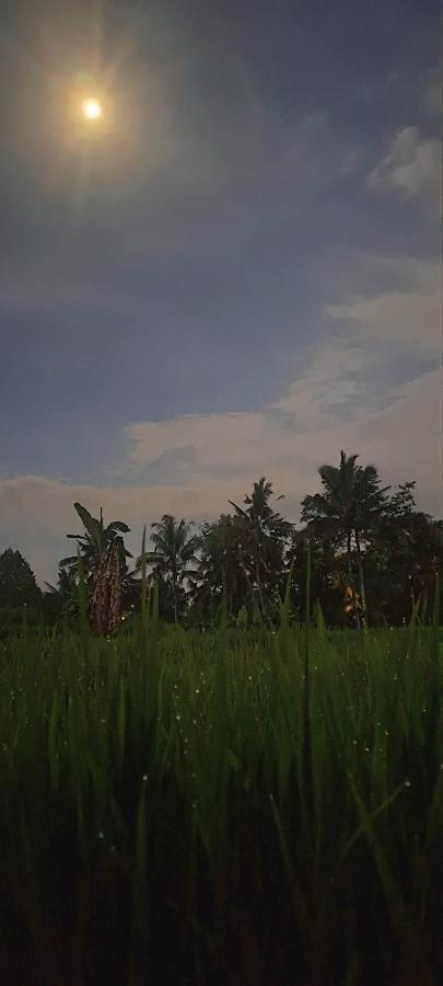 Galang Hari Villa Ubud Eksteriør billede